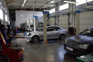 Picture5